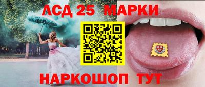 твердый Гатчина
