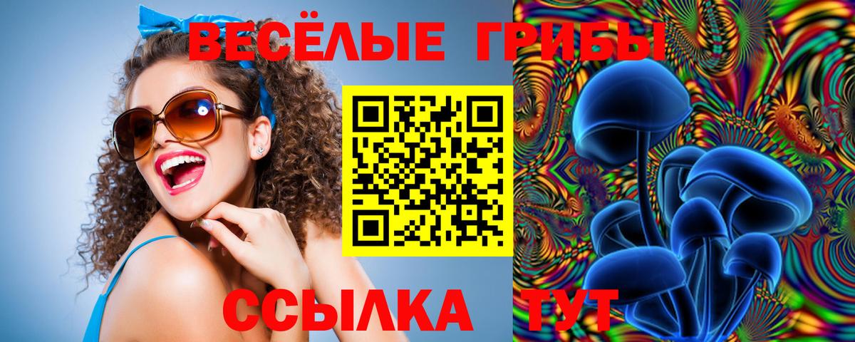 Ковров  где купить наркоту  Псилоцибиновые грибы Cubensis  Вход с VPN  Галлюциногенные грибы Cubensis 